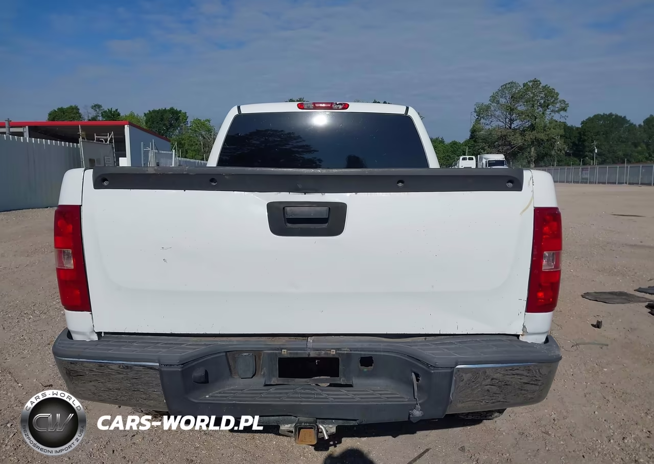 2010 Chevrolet Silverado 1500 Ls VIN:1GCSCREA9AZ180226 - 17