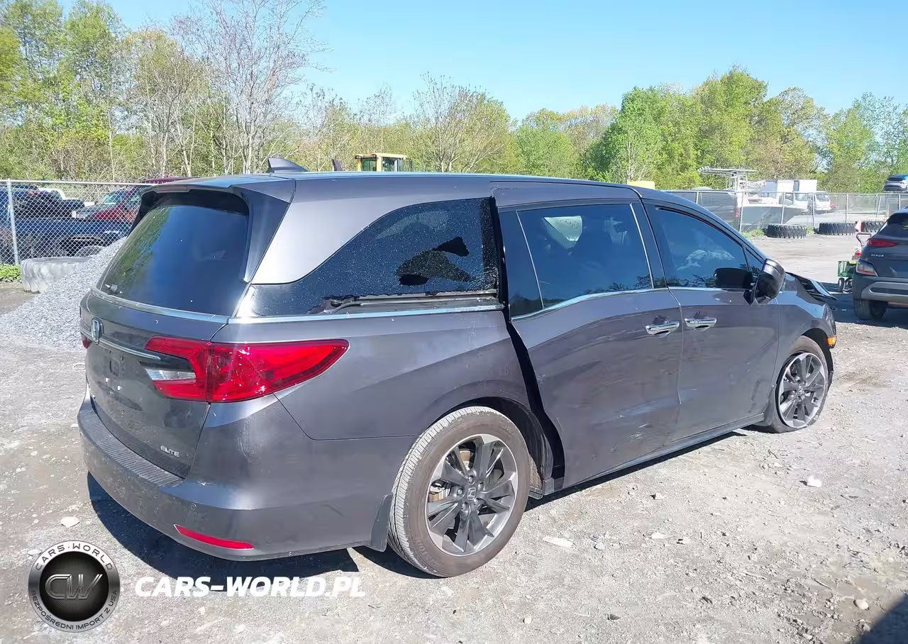 2024 Honda Odyssey Elite VIN:5FNRL6H94RB001655 - 4