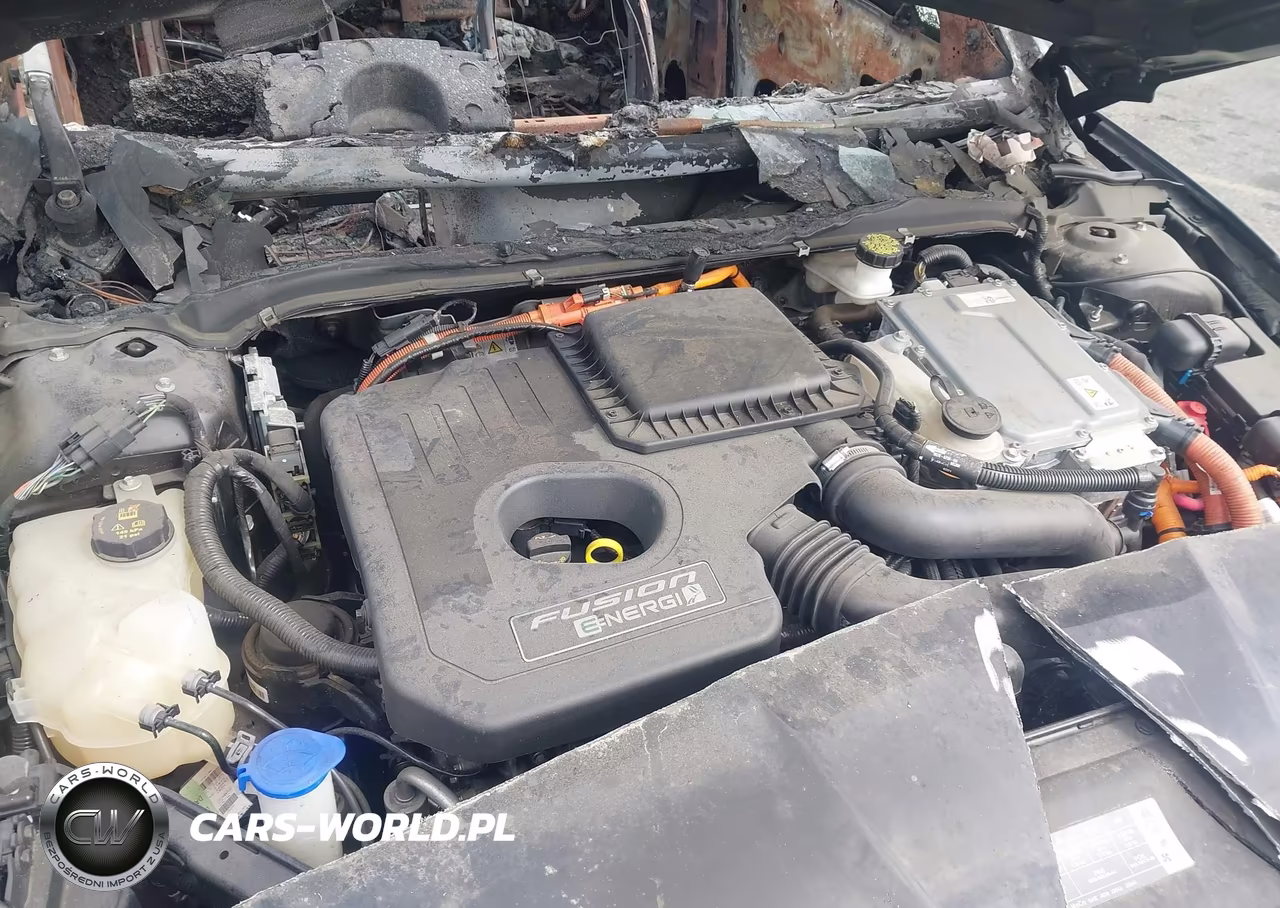2019 Ford Fusion Energi Titanium VIN:3FA6P0SU8KR185381 - 10