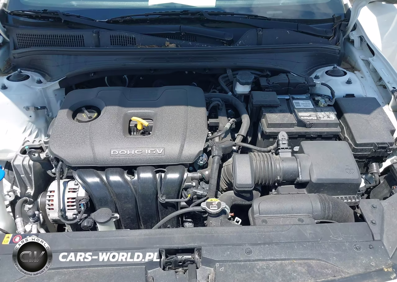 2020 Kia Forte Fe VIN:3KPF24AD0LE171663 - 10