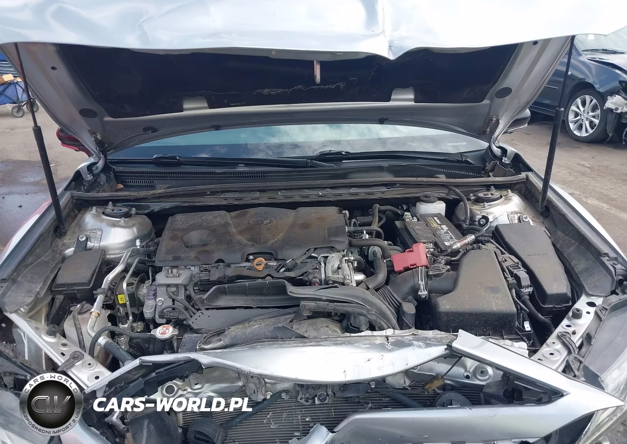 2019 Toyota Camry Xse VIN:4T1B61HK4KU223541 - 10