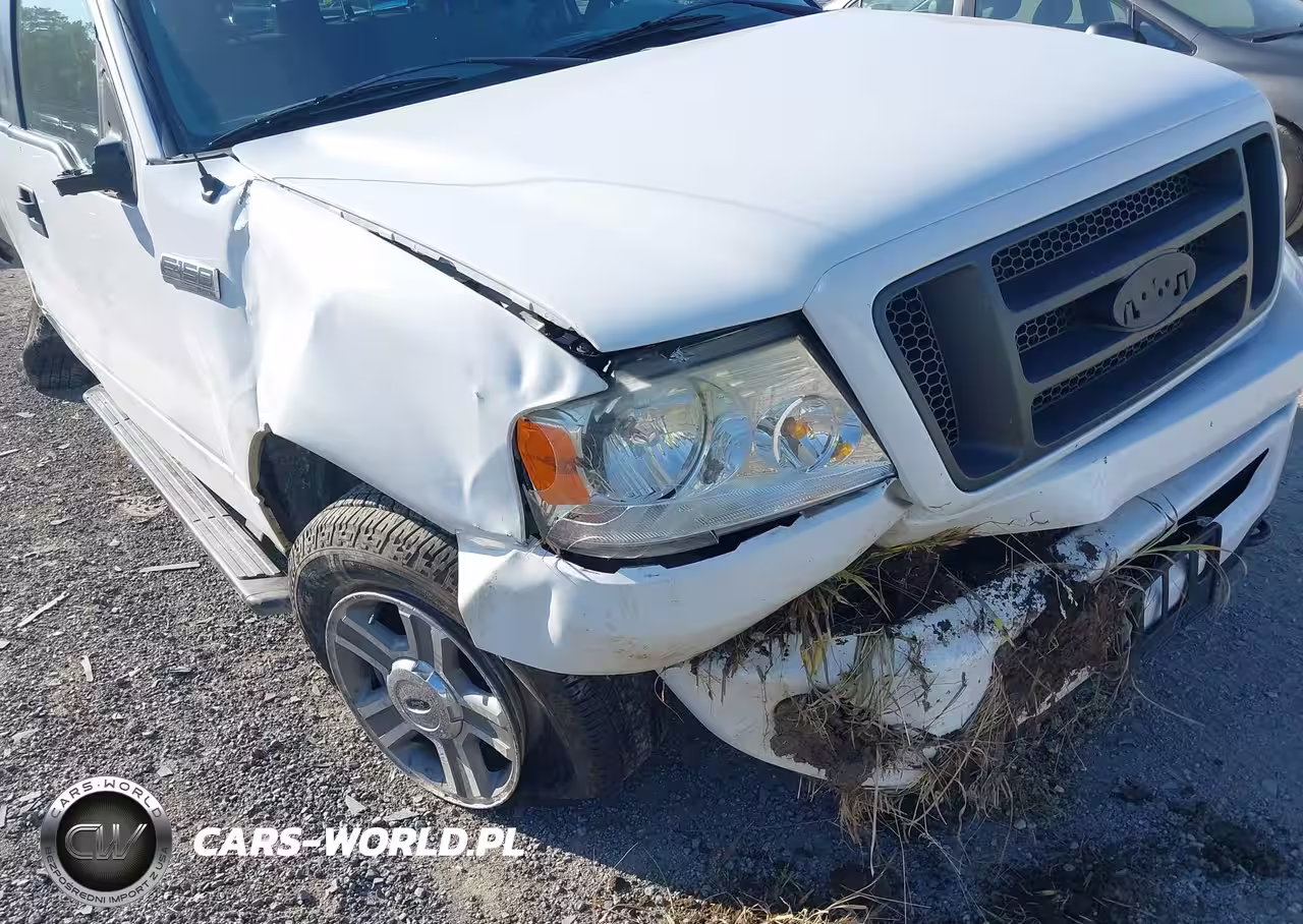 2008 Ford F-150 Stx-Xl-Xlt VIN:1FTRX14WX8FB49693 - 6