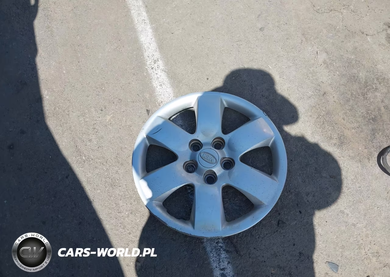 2009 Kia Optima Lx VIN:KNAGE228X95315271 - 12
