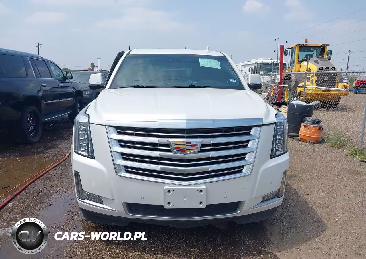 2017 Cadillac Escalade Esv Platinum VIN:1GYS4KKJ1HR242621 - 12