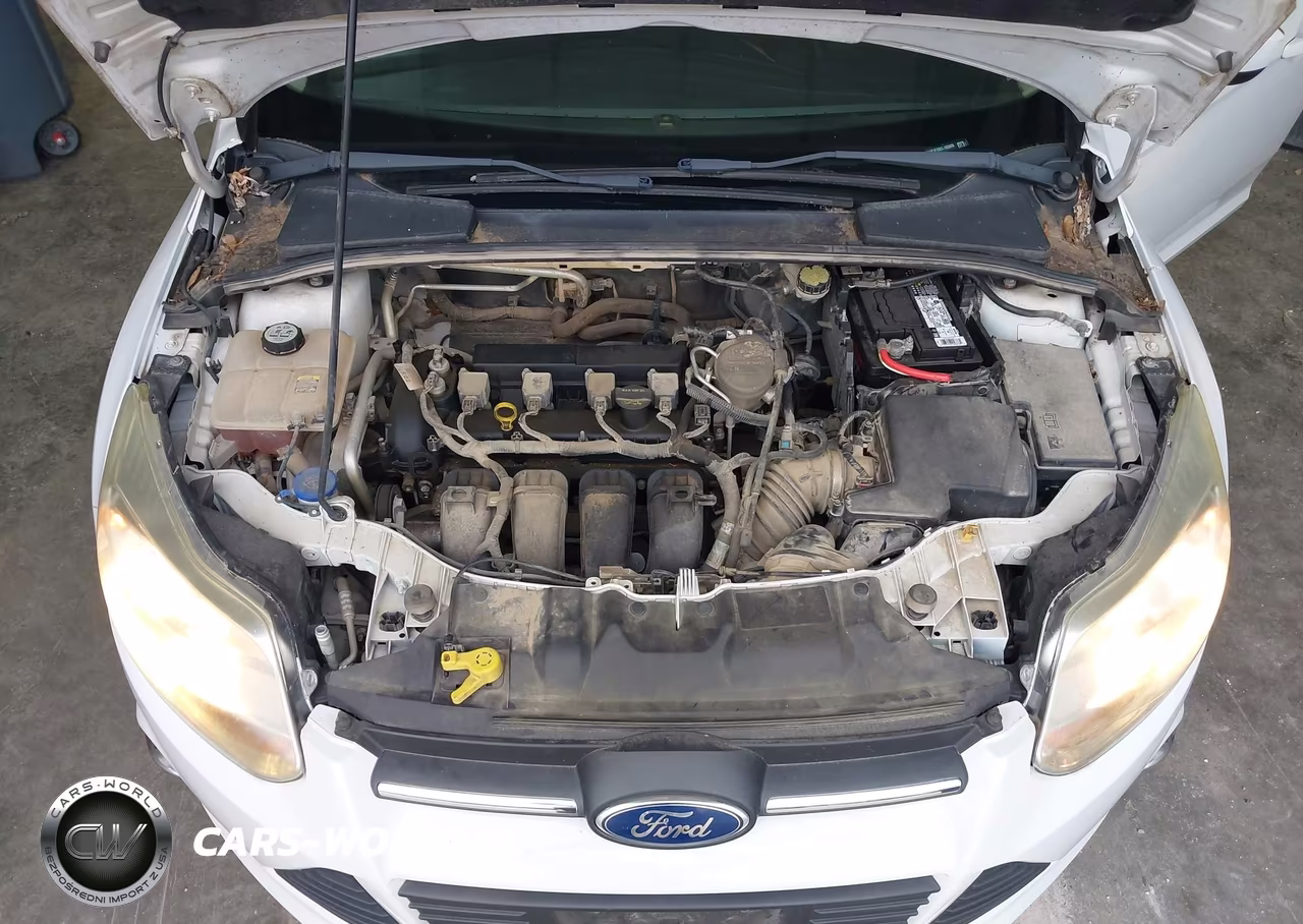 2012 Ford Focus Se VIN:1FAHP3F20CL195809 - 10