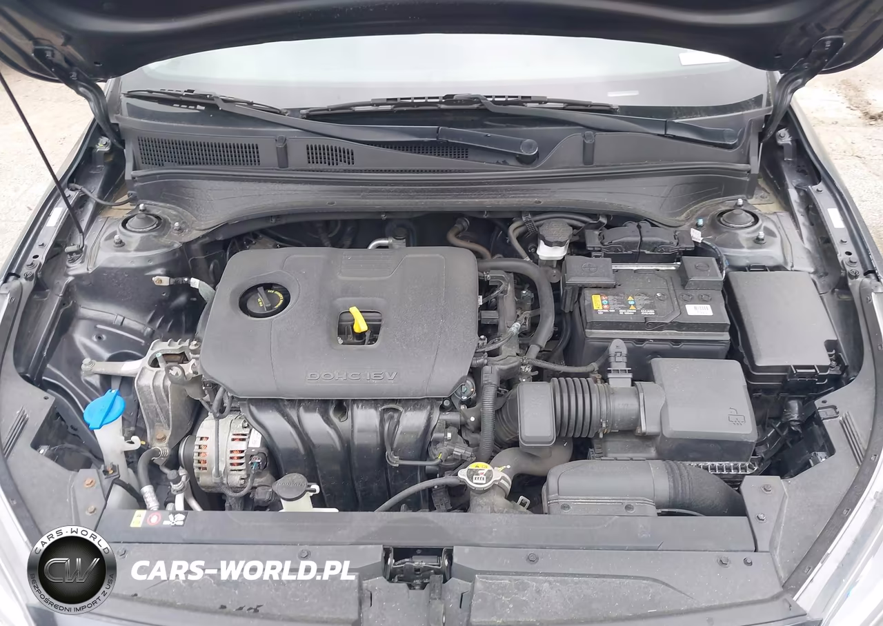 2019 Kia Forte Lxs VIN:3KPF24AD9KE121732 - 10