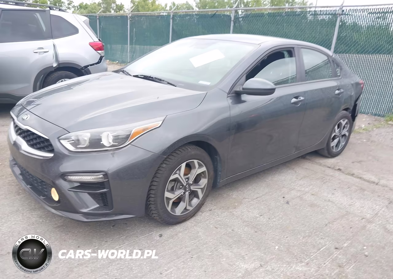 2019 Kia Forte Lxs VIN:3KPF24AD9KE121732 - 2