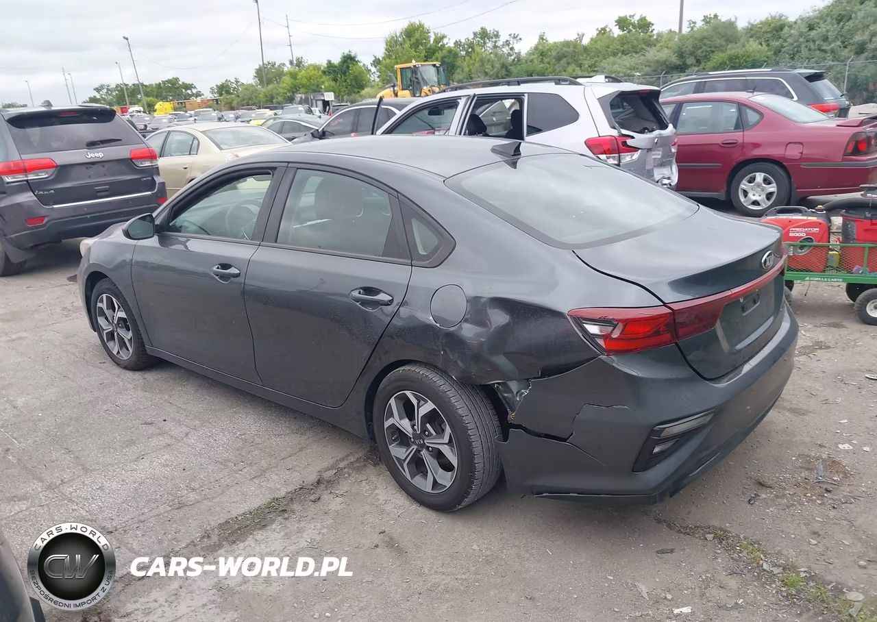 2019 Kia Forte Lxs VIN:3KPF24AD9KE121732 - 3