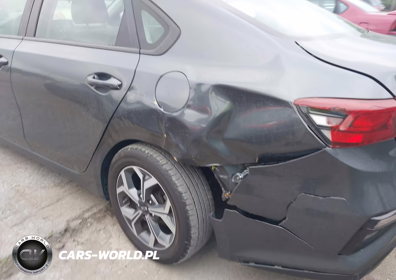 2019 Kia Forte Lxs VIN:3KPF24AD9KE121732 - 6