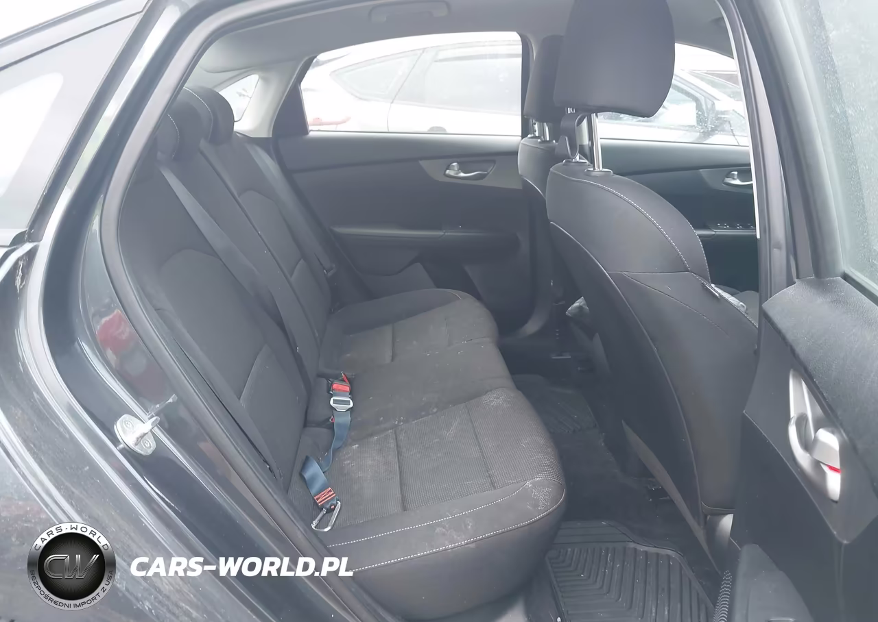 2019 Kia Forte Lxs VIN:3KPF24AD9KE121732 - 8