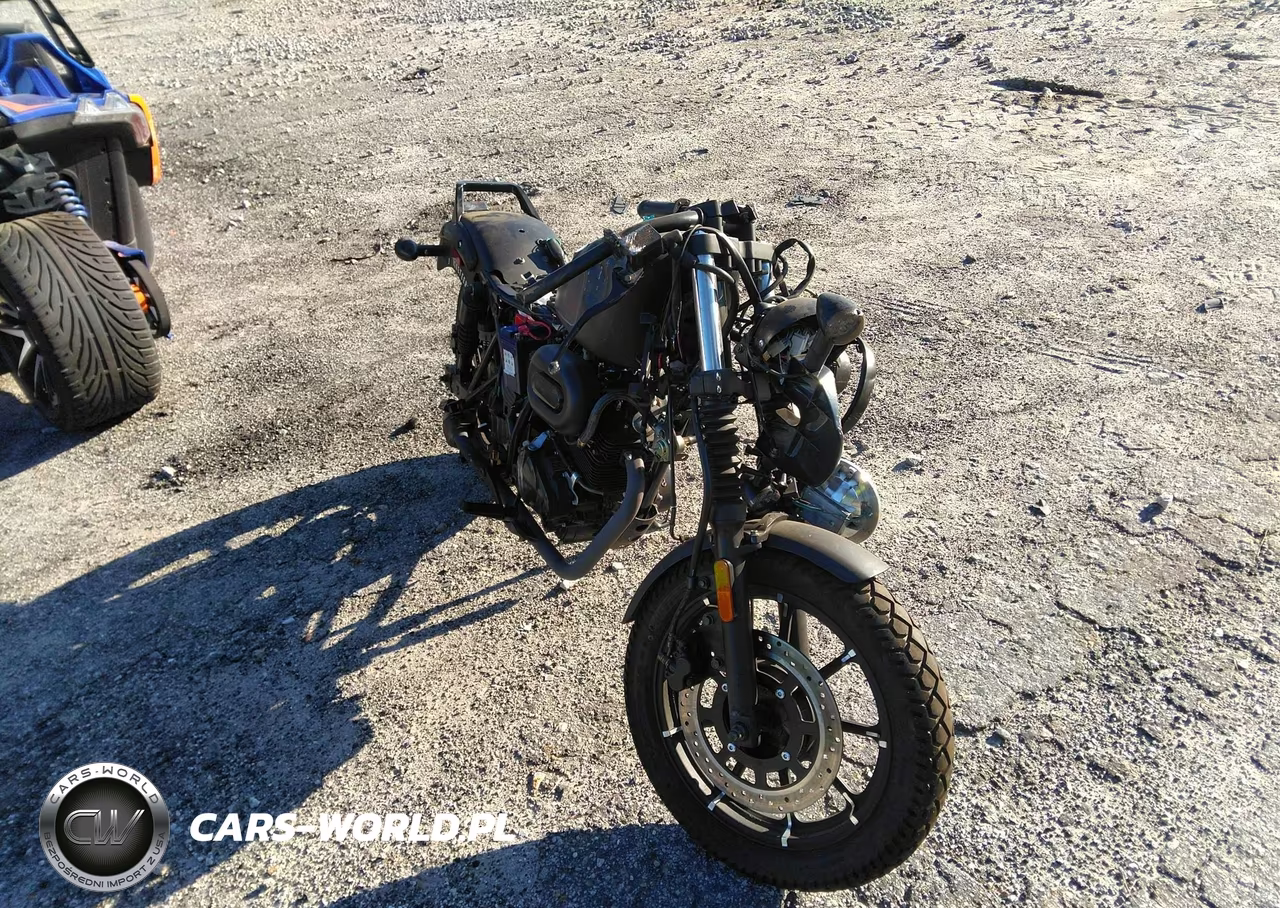 2021 Dongfang 250 Mc – zdjęcie 1 z 11