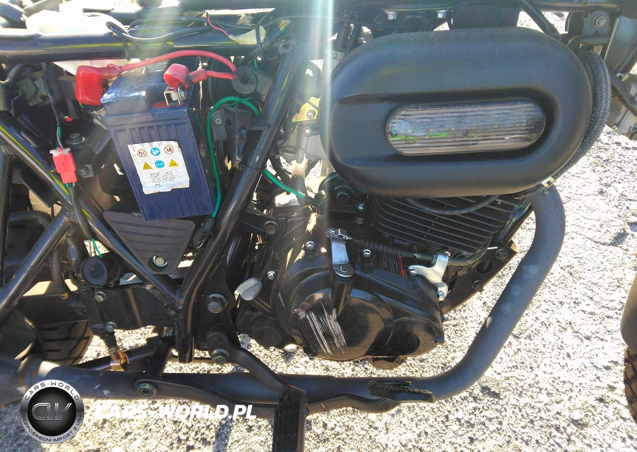2021 Dongfang 250 Mc VIN:LXDPCNPB5M1010081 - 8