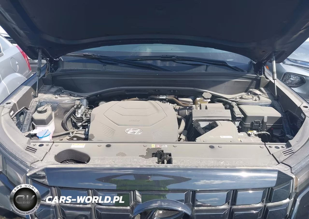2023 Hyundai Palisade Sel VIN:KM8R4DGE0PU601072 - 10