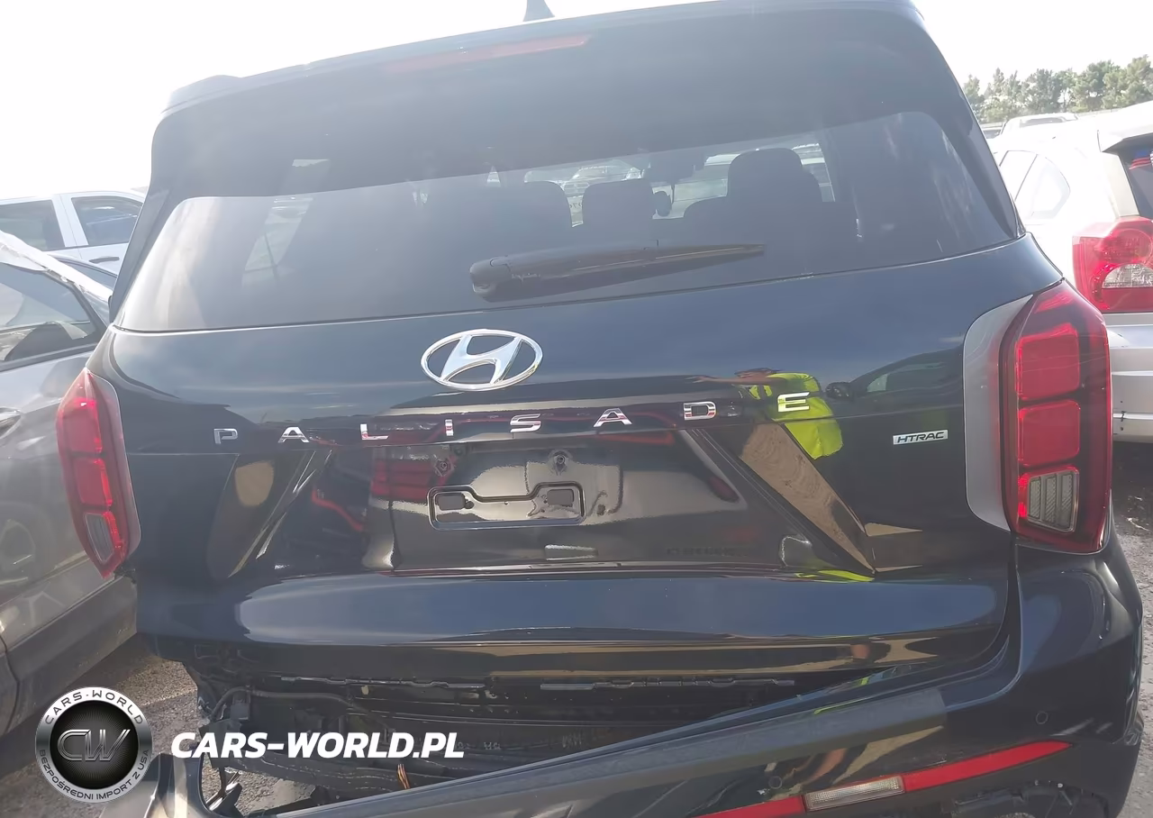 2023 Hyundai Palisade Sel VIN:KM8R4DGE0PU601072 - 16