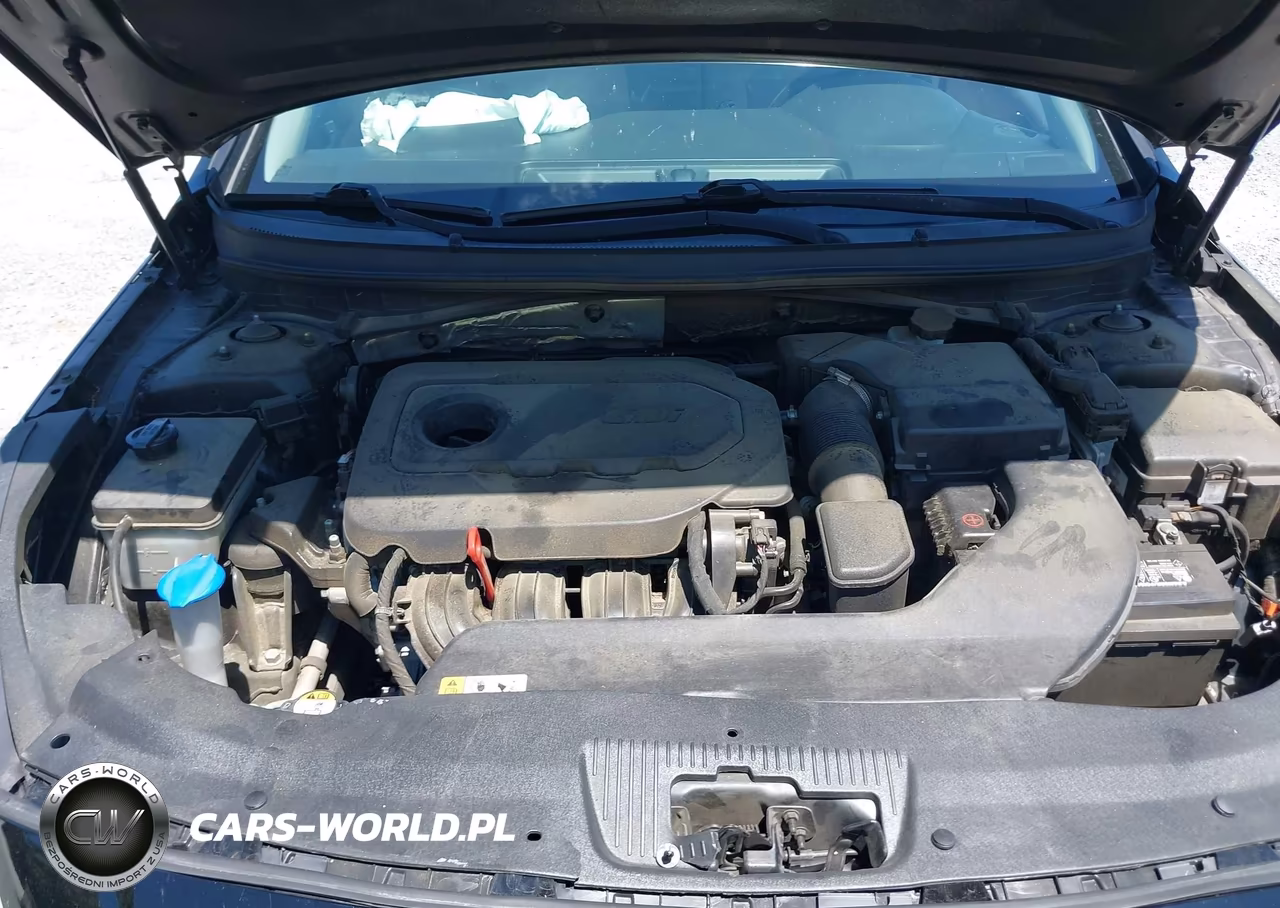 2015 Hyundai Sonata Se VIN:5NPE24AF2FH132215 - 10