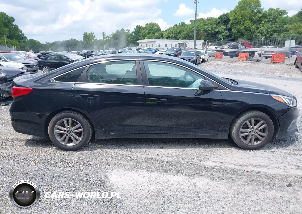 2015 Hyundai Sonata Se VIN:5NPE24AF2FH132215 - 13