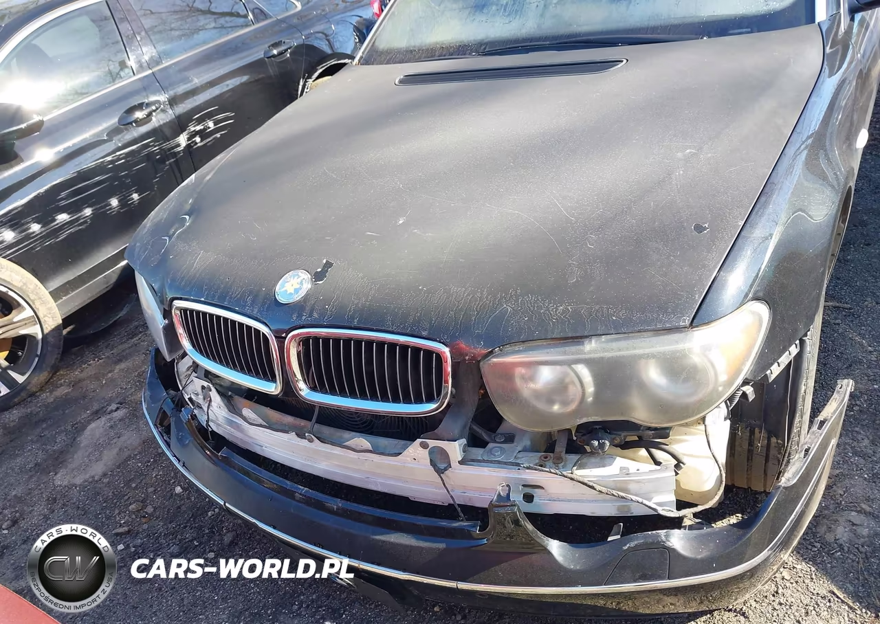 2003 BMW 745Li VIN:WBAGN63463DR09310 - 6