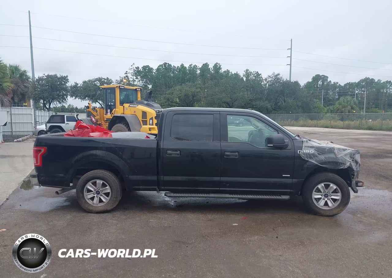 2016 Ford F-150 Xlt VIN:1FTEW1CP3GFA56461 - 14