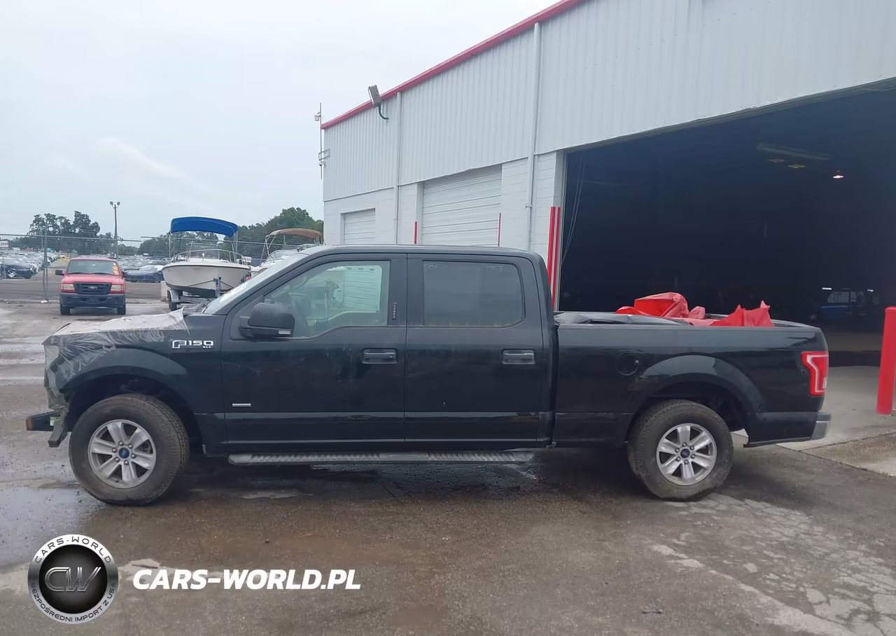 2016 Ford F-150 Xlt VIN:1FTEW1CP3GFA56461 - 15