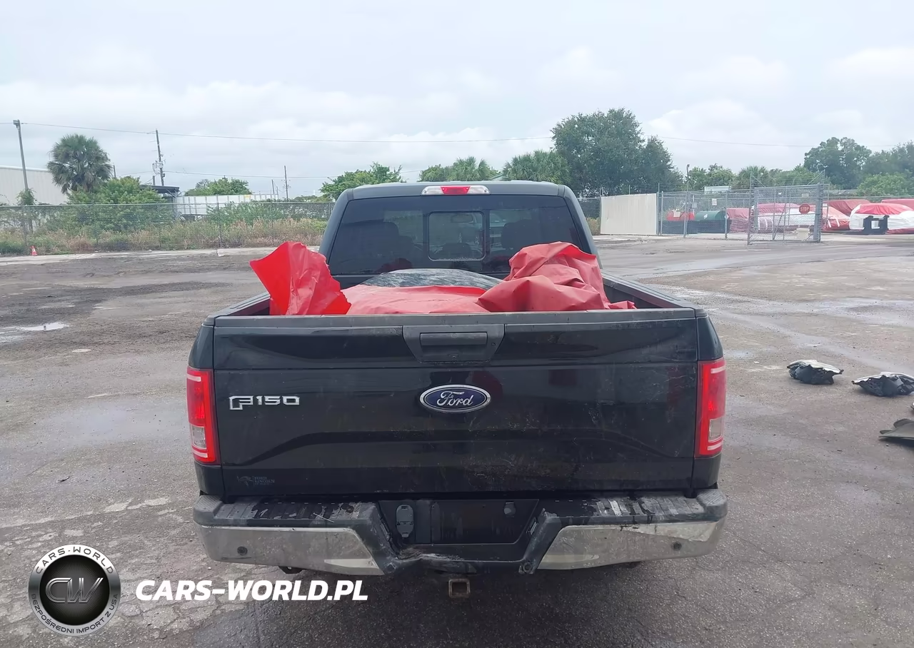 2016 Ford F-150 Xlt VIN:1FTEW1CP3GFA56461 - 17