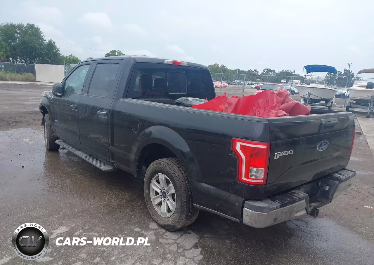 2016 Ford F-150 Xlt VIN:1FTEW1CP3GFA56461 - 3