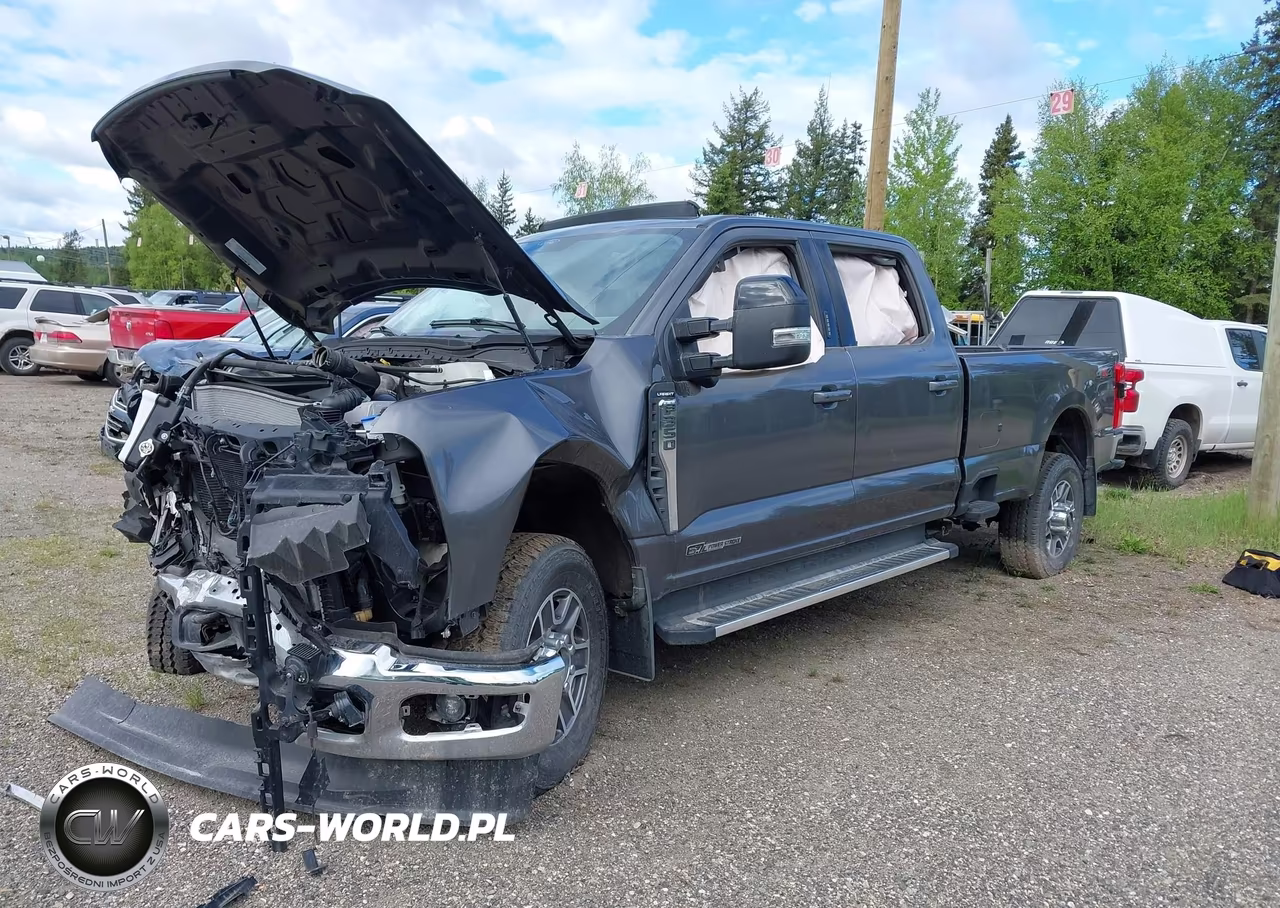 2004 Chevrolet Silverado 1500 Work Truck VIN:1GCEC14X64Z182623 - 2