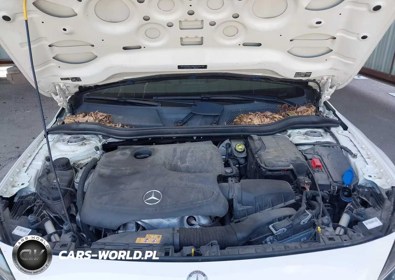 2017 Mercedes-Benz Gla 250 4Matic VIN:WDCTG4GB5HJ349873 - 10
