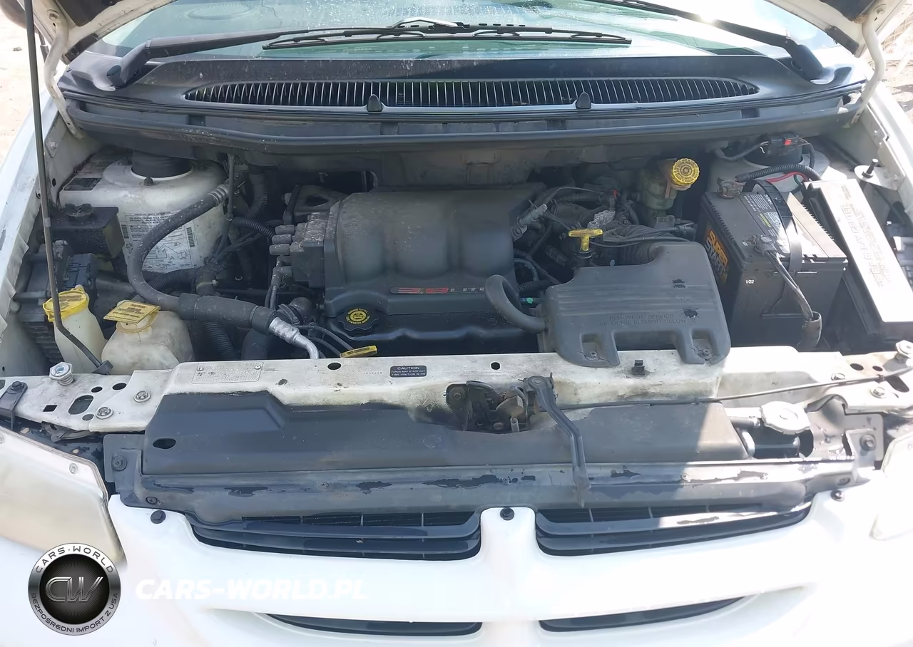 1996 Dodge Grand Caravan Le-Es VIN:1B4GP54L6TB218977 - 10
