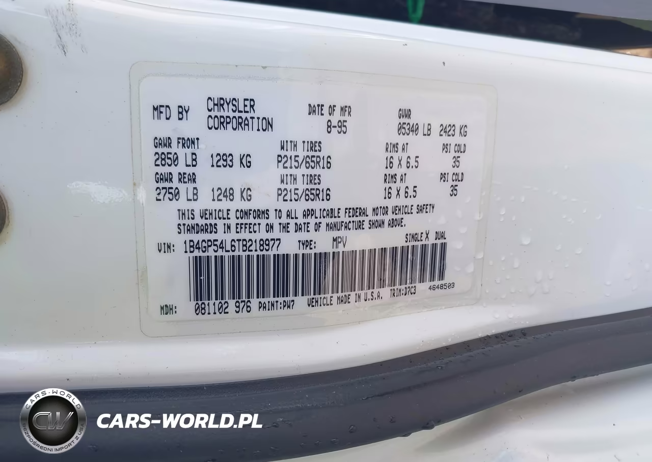 1996 Dodge Grand Caravan Le-Es VIN:1B4GP54L6TB218977 - 9