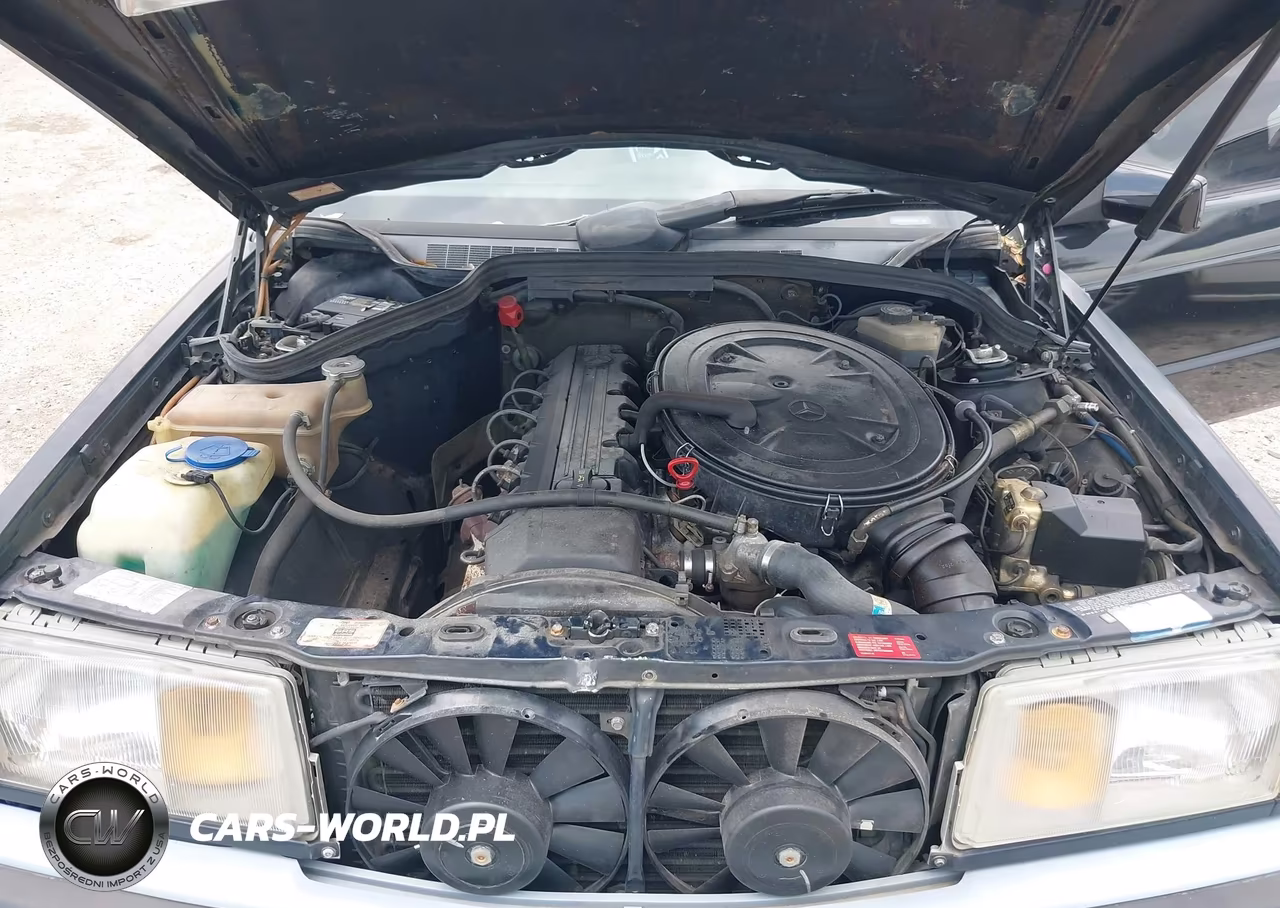 1993 Mercedes-Benz 190 E 2.6 VIN:WDBDA29D8PG031044 - 10