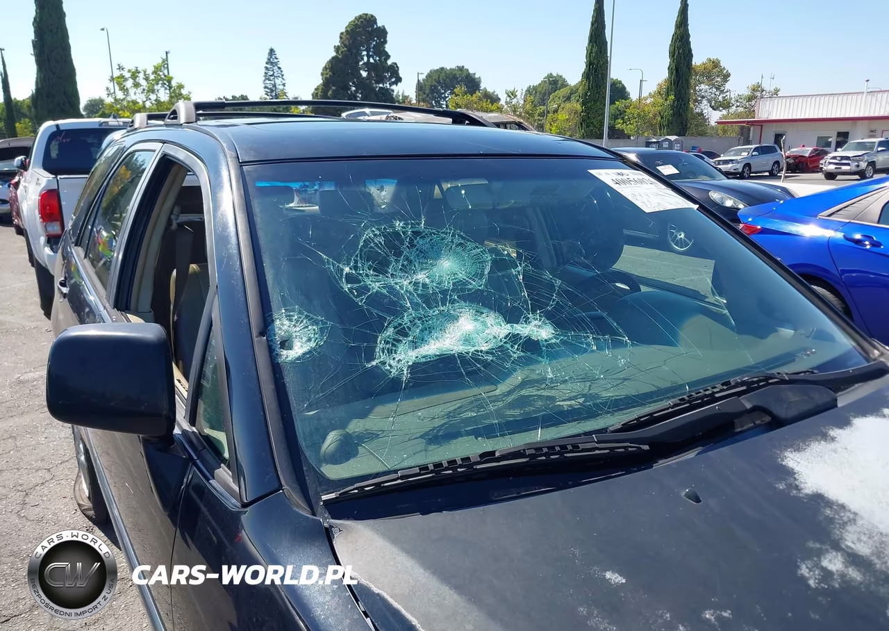 2000 Lexus Rx 300 VIN:JT6GF10U5Y0050031 - 12