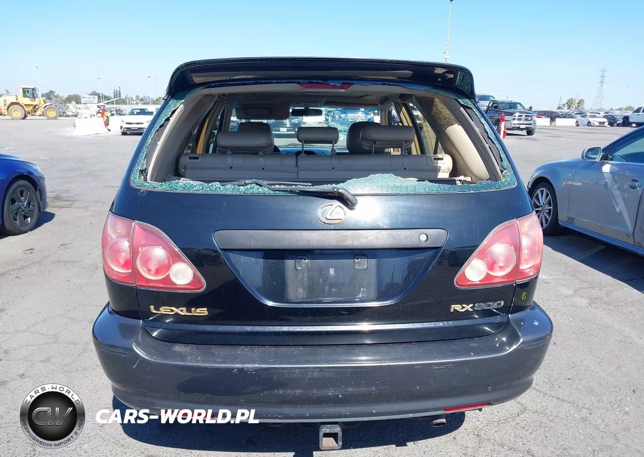 2000 Lexus Rx 300 VIN:JT6GF10U5Y0050031 - 17