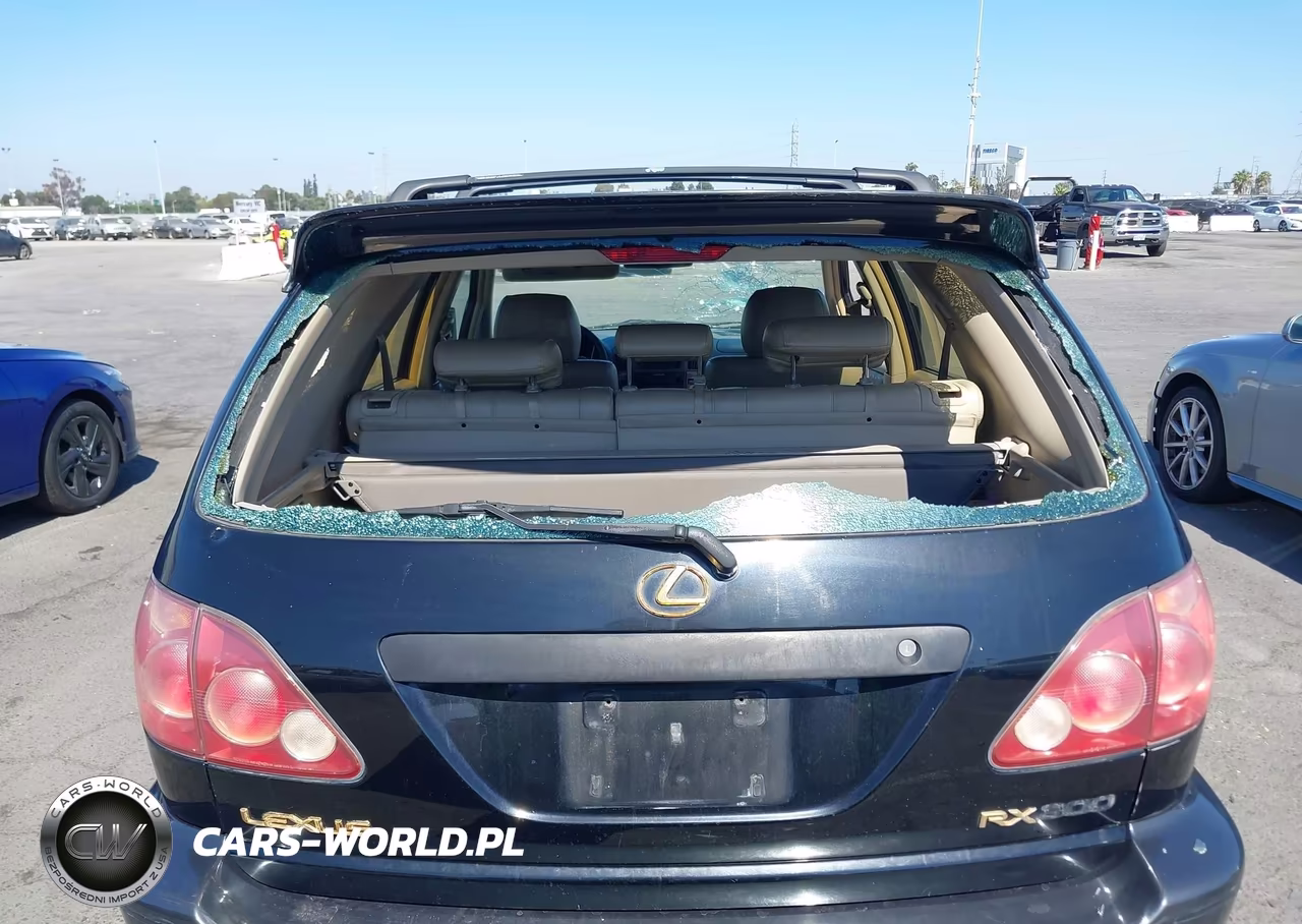 2000 Lexus Rx 300 VIN:JT6GF10U5Y0050031 - 6