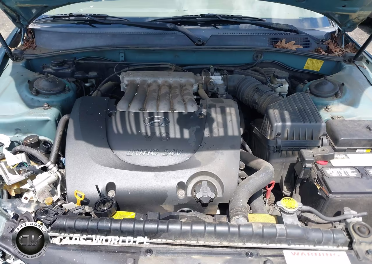 2004 Hyundai Sonata Gls-Lx VIN:KMHWF35H34A083461 - 10