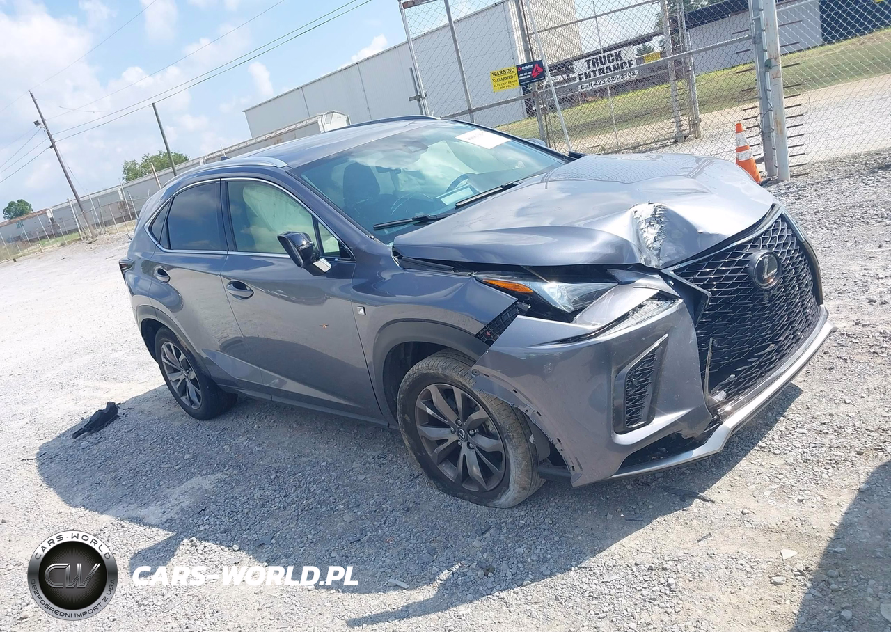 2021 Lexus Nx 300 F Sport