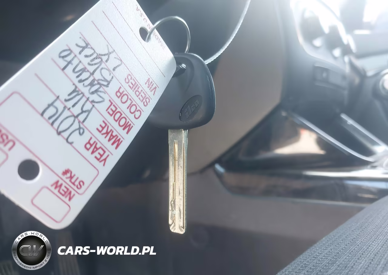 2014 Kia Sorento Lx VIN:5XYKT3A66EG483760 - 11