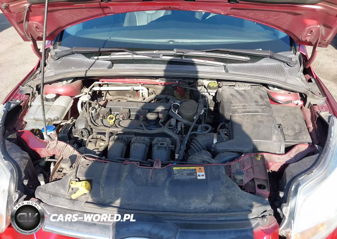 2014 Ford Focus Se VIN:1FADP3K23EL131996 - 10