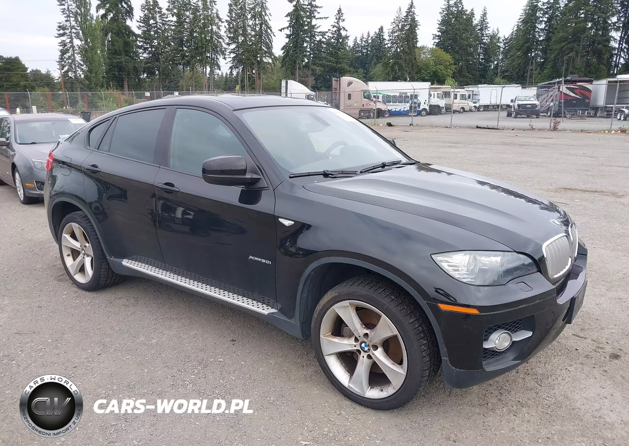 2010 BMW X6 xDrive50I