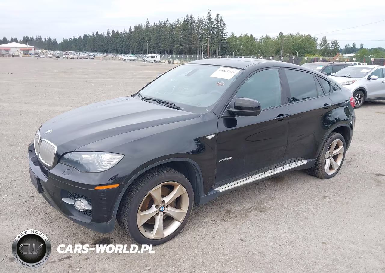2010 BMW X6 xDrive50I VIN:5UXFG8C57ALZ94771 - 2