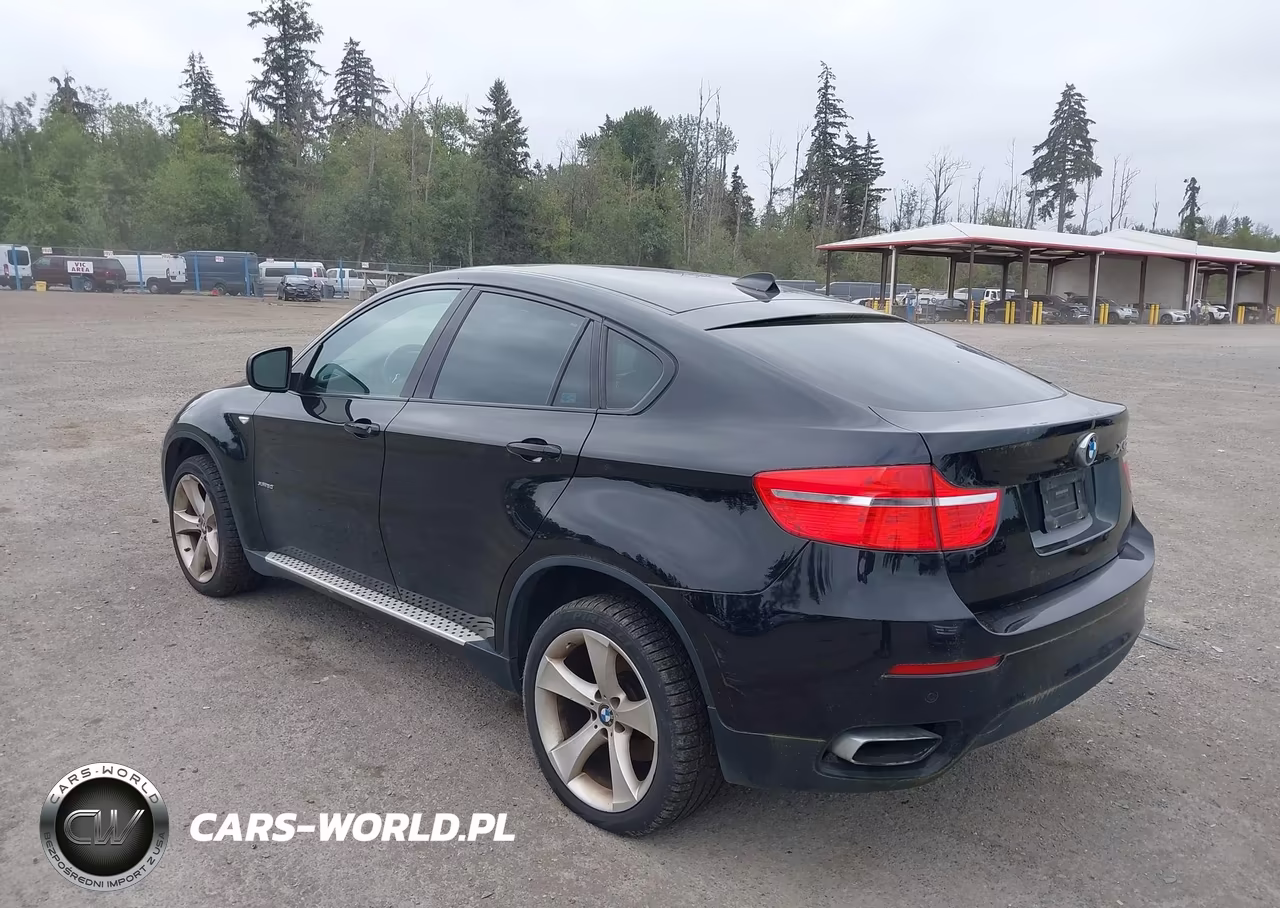 2010 BMW X6 xDrive50I VIN:5UXFG8C57ALZ94771 - 3