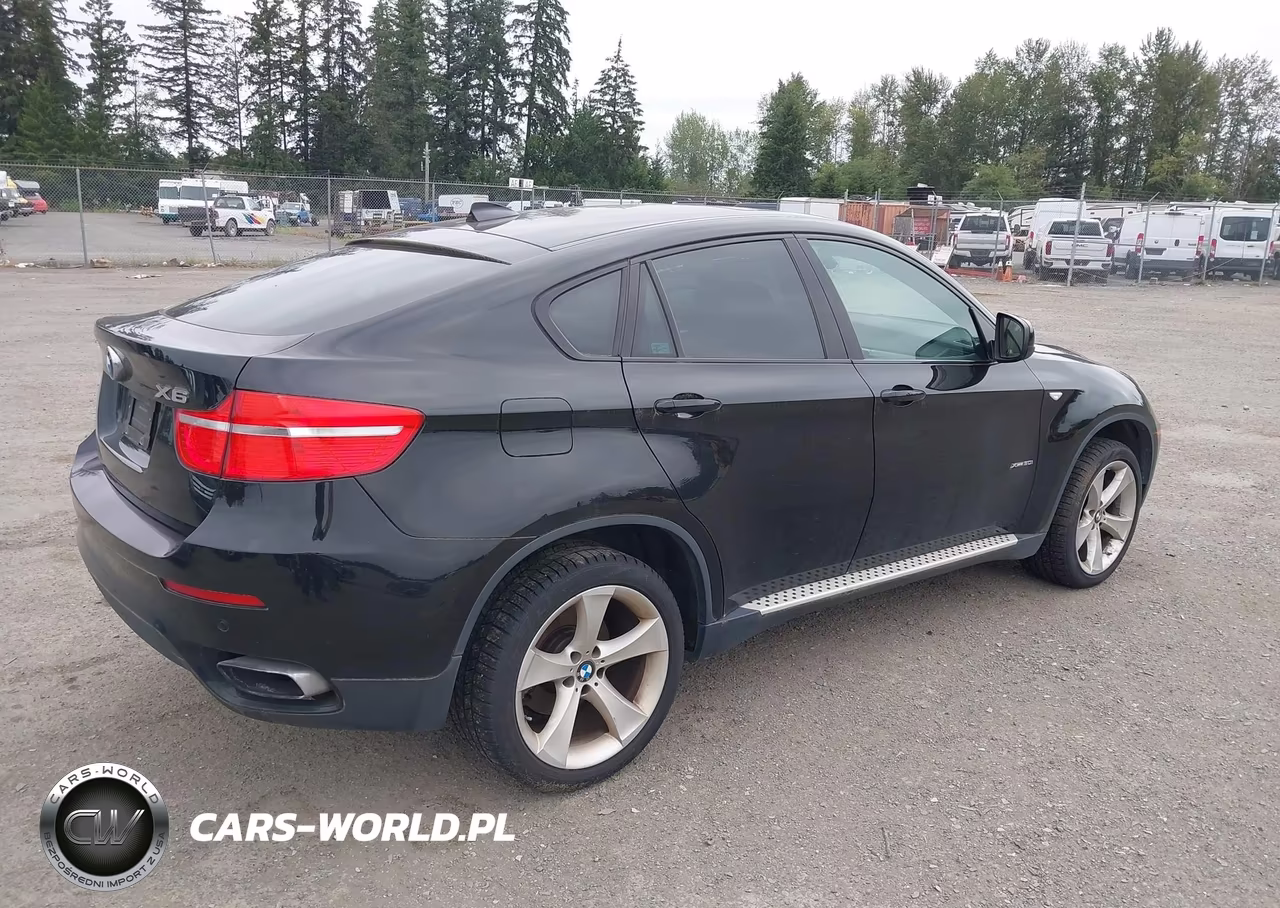 2010 BMW X6 xDrive50I VIN:5UXFG8C57ALZ94771 - 4