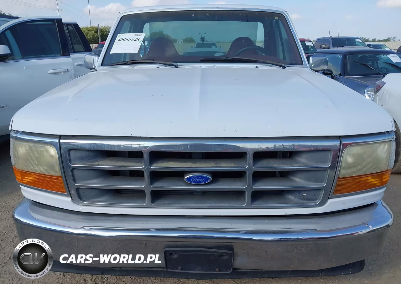 1995 Ford F150 VIN:1FTDF15Y2SLC03378 - 6