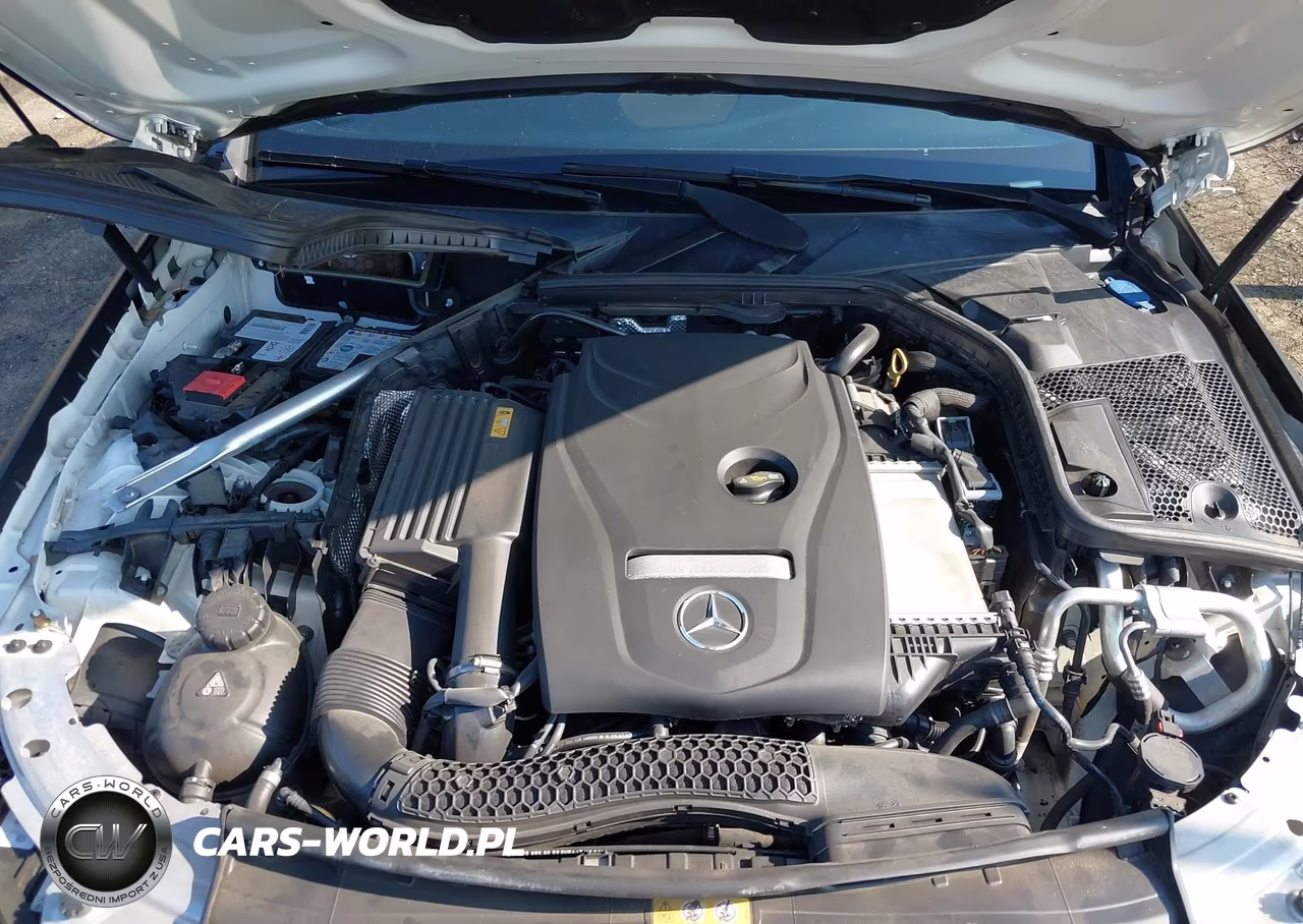 2018 Mercedes-Benz C 300 VIN:WDDWK4JB0JF758940 - 10