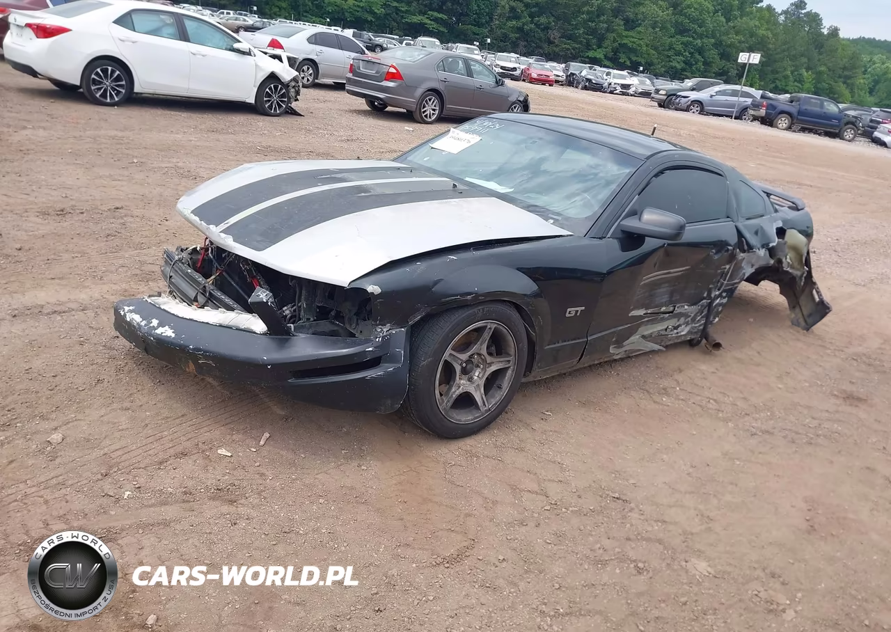 2006 Ford Mustang Gt VIN:1ZVFT82H565139097 - 2