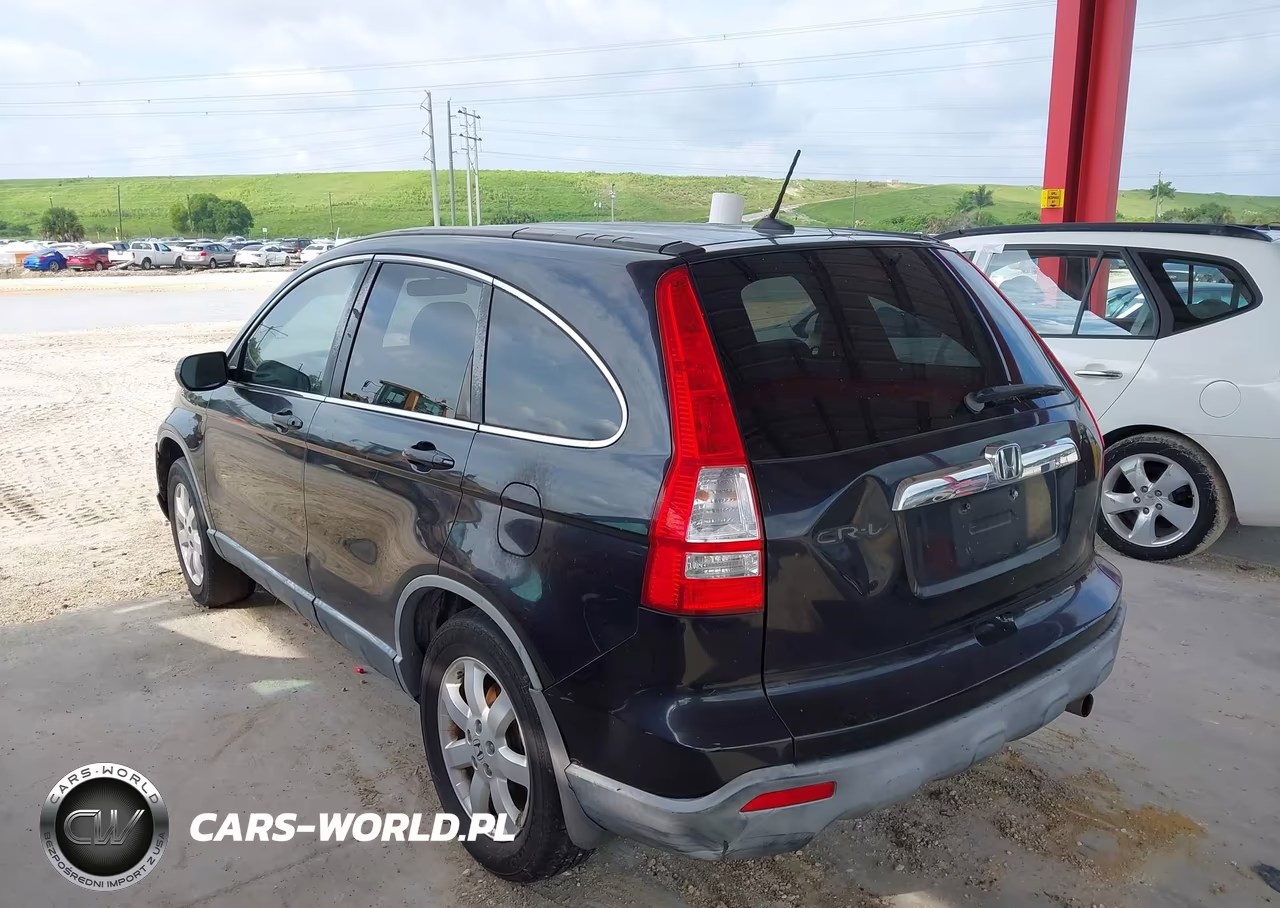 2007 Honda Cr-V Exl VIN:JHLRE38757C030473 - 3