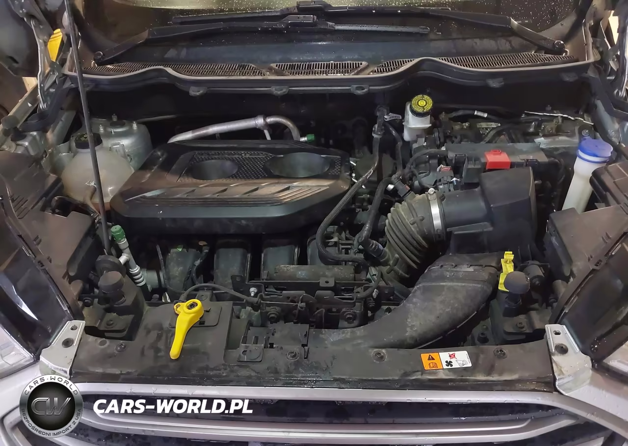 2019 Ford Ecosport Se VIN:MAJ6S3GL5KC296243 - 10