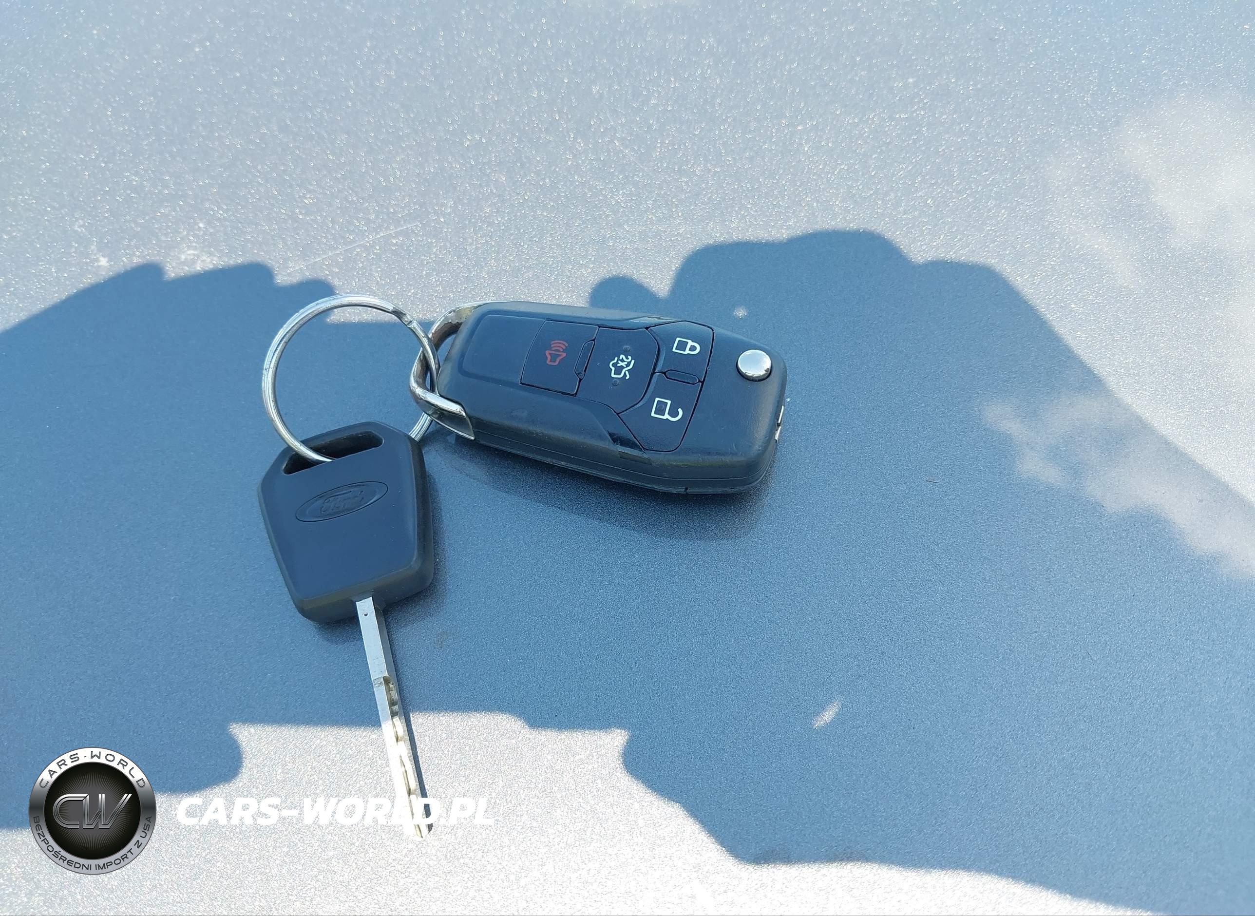 FORD FUSION VIN:3FA6P0H70DR120514 - 11