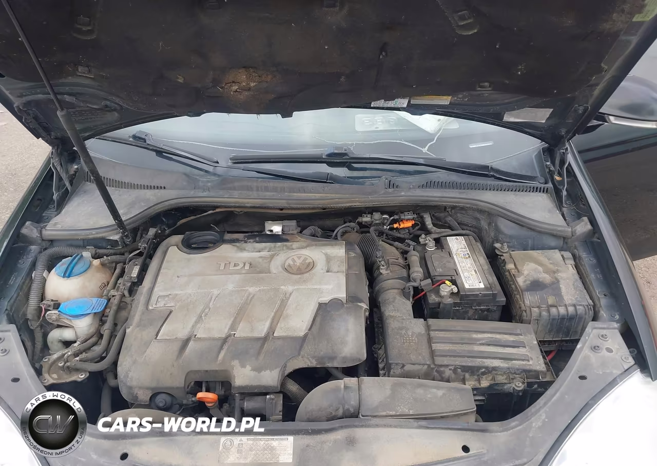 2009 Volkswagen Jetta 2.0L Tdi VIN:3VWPL71K29M362577 - 10