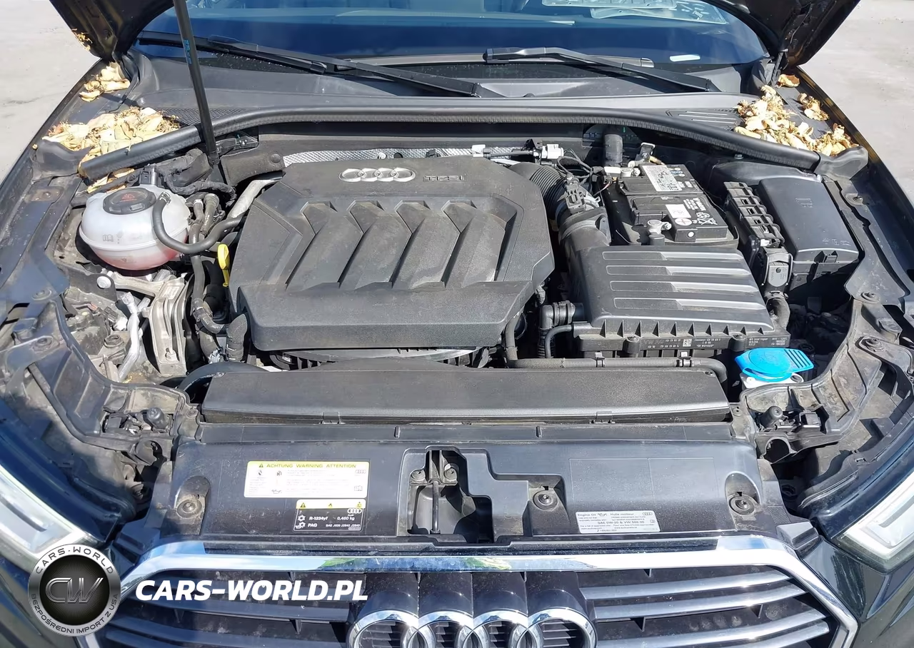 2019 Audi A3 Premium Plus VIN:WAUGUGFFXK1010908 - 10