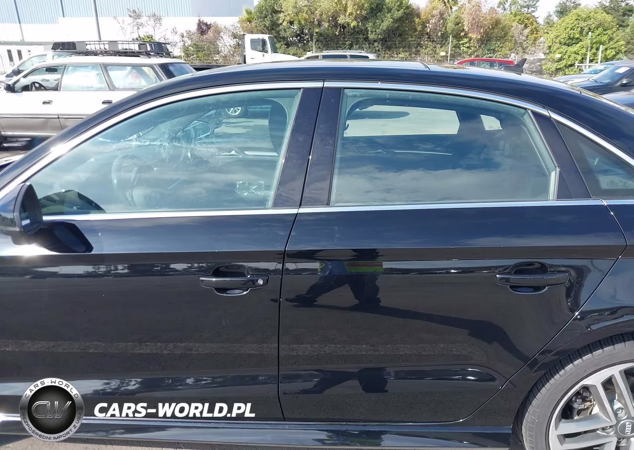 2019 Audi A3 Premium Plus VIN:WAUGUGFFXK1010908 - 15
